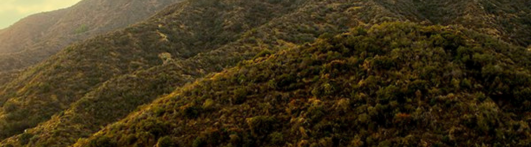 hills
