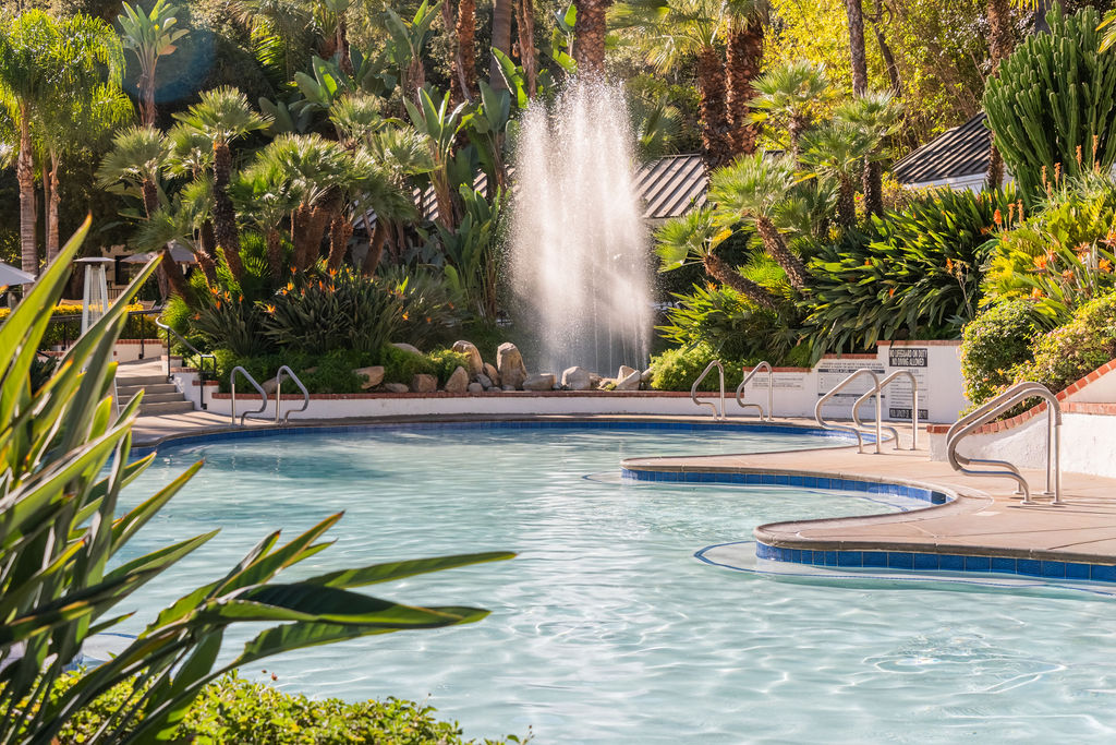 A sunny resort swimming pool with clear water, surrounded by lush palm plants, and a fountain spraying water into the air, creating a tranquil oasis vibe.