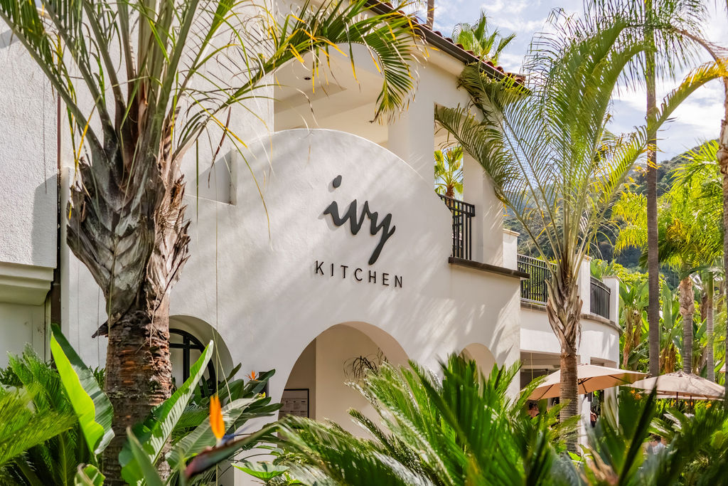 A sunny &ldquo;Wry Kitchen&rdquo; building entrance surrounded by lush palm trees and umbrellas in a tropical courtyard.