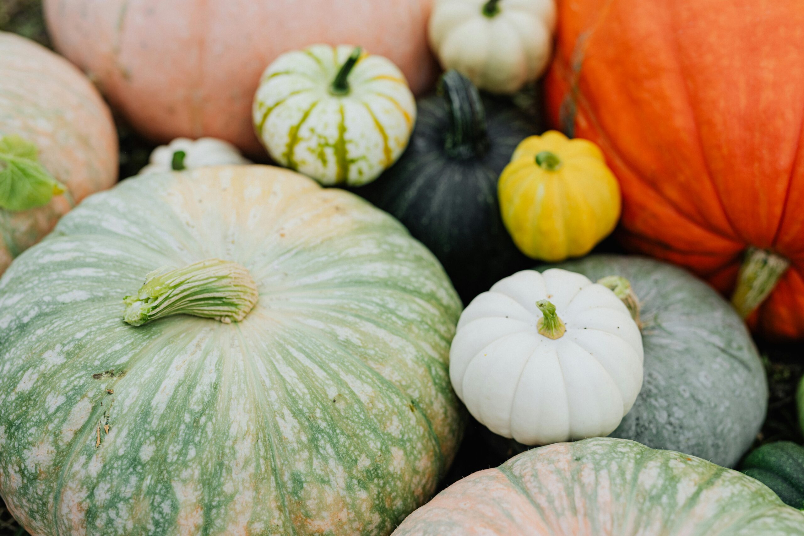 Pumpkin is packed with nutrients and offers a range of health and skincare benefits.